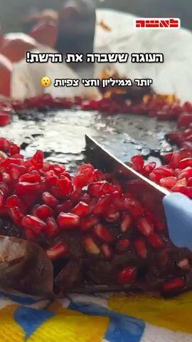 עוגת שוקולד רכה עם רוטב שוקולד ורימונים