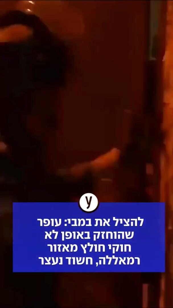להציל את במבי: עופר שהוחזק באופן לא חוקי חולץ מאזור רמאללה, חשוד נעצר 