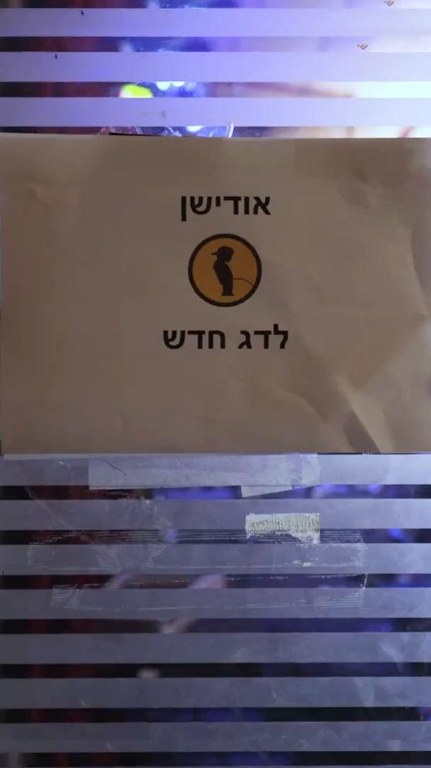 אודישנים לדג חדש - גורי
