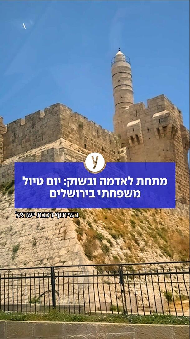 מתחת לאדמה ובשוק: יום טיול משפחתי בירושלים