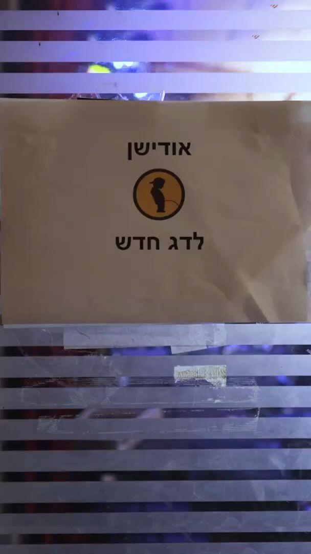 אודישנים לדג חדש - דניאל חן