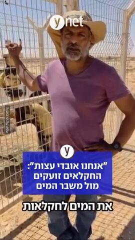 "אנחנו אובדי עצות": החקלאים זועקים מול משבר המים