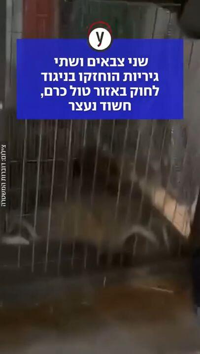 שני צבאים ושתי גיריות הוחזקו בניגוד לחוק באזור טול כרם, חשוד נעצר