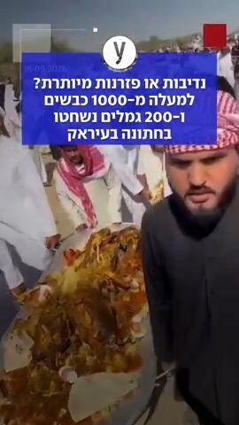 נדיבות או פזרנות מיותרת? למעלה מ-1000 כבשים ו-200 גמלים נשחטו בחתונה בעיראק