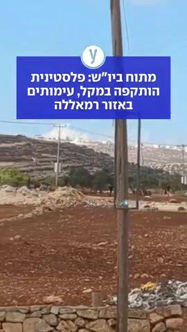 מתוח ביו"ש: פלסטינית הותקפה במקל, עימותים באזור רמאללה