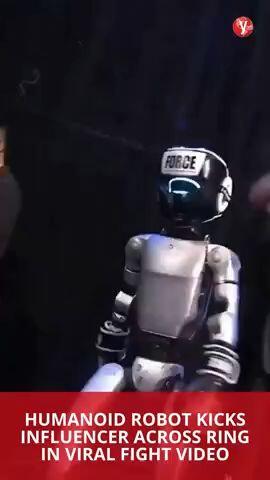 Robot fights