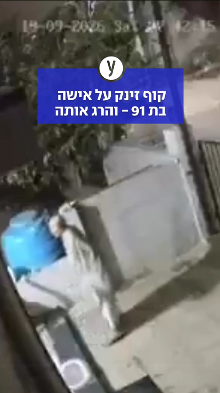 קוף זינק על אישה בת 91 - והרג אותה