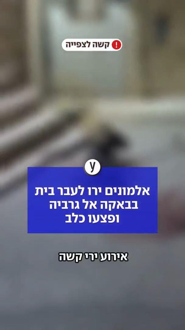 אלמונים ירו לעבר בית בבאקה אל גרביה ופצעו כלב 