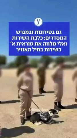 גם בטירונות ובמגרש המסדרים: כלבת השירות ואלי מלווה את טוראית א' בשירות בחיל האוויר