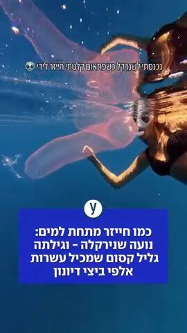 כמו חייזר מתחת למים: נועה שנירקלה - וגילתה גליל קסום שמכיל עשרות אלפי ביצי דיונון