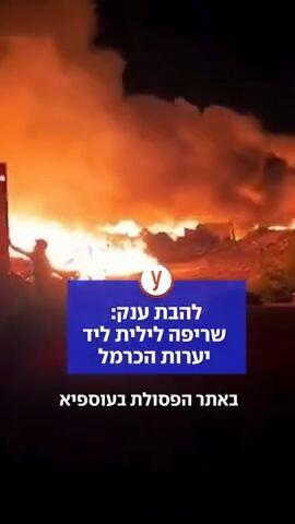 להבת ענק: שריפה לילית ליד יערות הכרמל