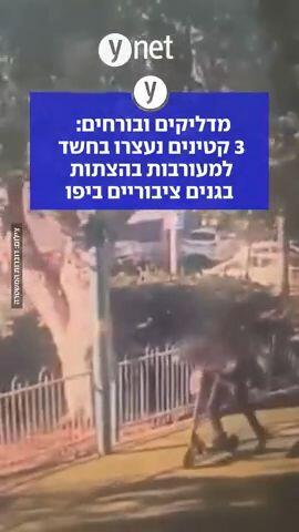 מדליקים ובורחים: 3 קטינים נעצרו בחשד למעורבות בהצתות בגנים ציבוריים ביפו