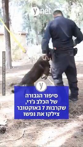 סיפור הגבורה של הכלב ג'רי, שקרבות 7 באוקטובר צילקו את נפשו