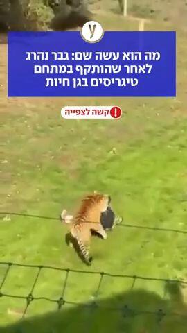 מה הוא עשה שם: גבר נהרג לאחר שהותקף במתחם טיגריסים בגן חיות
