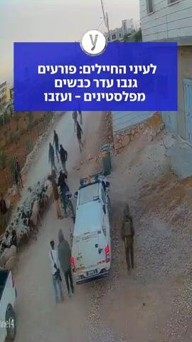 לעיני החיילים: פורעים גנבו עדר כבשים מפלסטינים - ועזבו