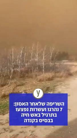 השריפה שלאחר האסון: 7 נהרגו ועשרות נפצעו בתרגיל באש חיה בבסיס בקנדה