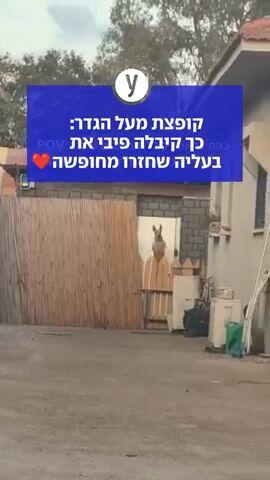 קופצת מעל הגדר: כך קיבלה פיבי את בעליה שחזרו מחופשה