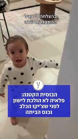 הבוסית הקטנה: פלאיה לא הולכת לישון לפני שצ'יקו הכלב נכנס הביתה