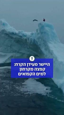 היישר מעידן הקרח: קפצה מקרחון למים הקפואים