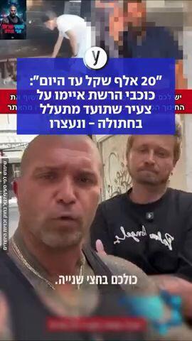 "20 אלף שקל עד היום": כוכבי הרשת איימו על צעיר שתועד מתעלל בחתולה - ונעצרו