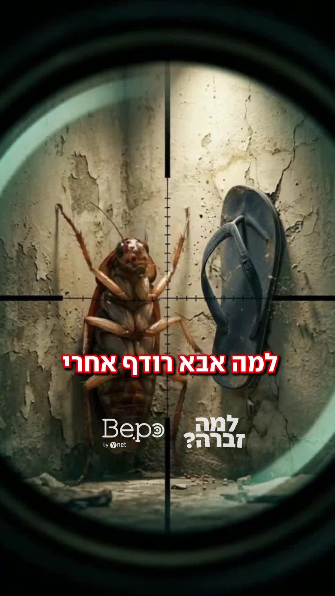 חרקים קטנים