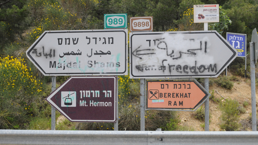 צילום: אביהו שפירא