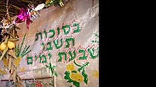 סוכה