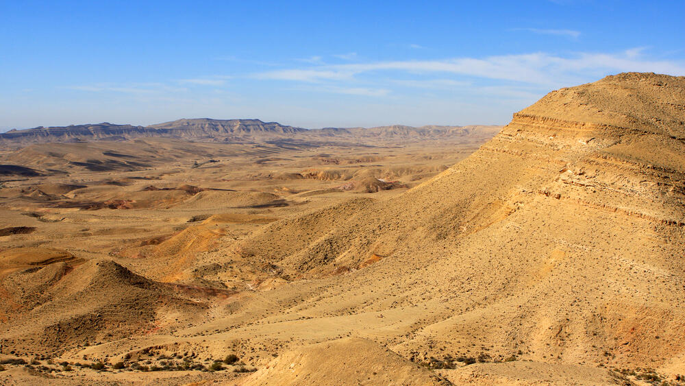 Negev desert 