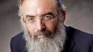 הרב דוד סתיו