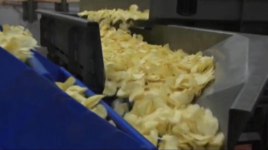 Potato chip manufacturing line 