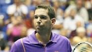 הראל לוי