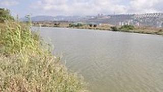 נחל הקישון