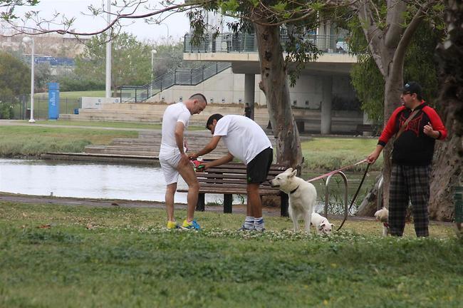 המדור מוכן להתחלף עם מדבקת הירך של מיכאלשווילי בכל רגע נתון