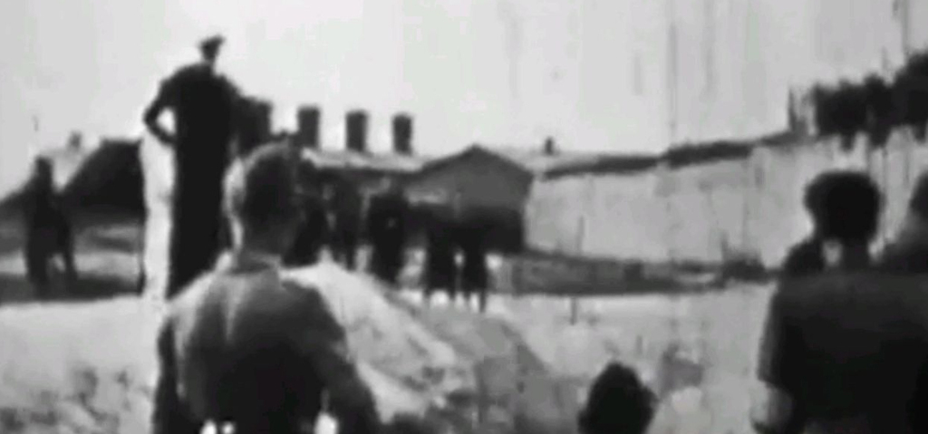 גיא הריגה. שואת הכדורים בברה"מ לשעבר (צילום: עפר מאירי, אורי דוידוביץ' וחגי דקל) גיא הריגה. שואת הכדורים בברה"מ לשעבר