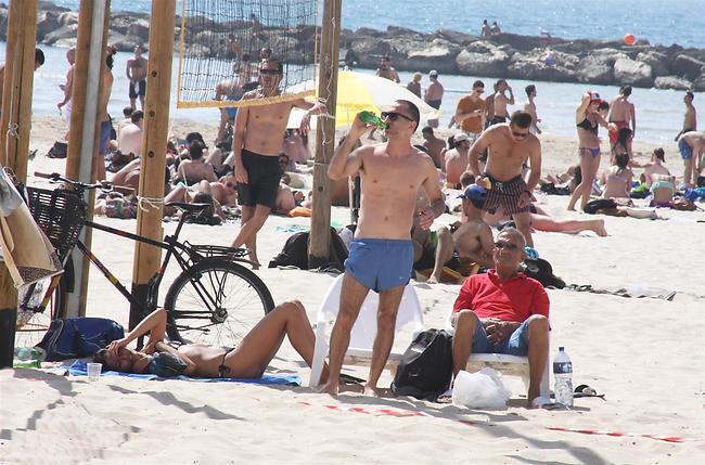 חכם בשמש. שלום מיכאלשווילי שותה (צילום: מוטי לבטון) חכם בשמש. שלום מיכאלשווילי שותה