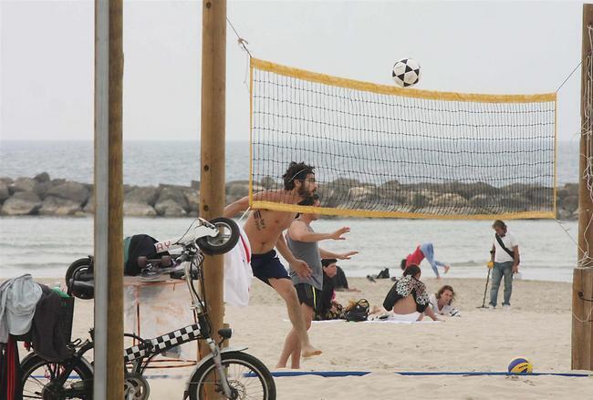 תן לו בראש, תן לו במחוש (צילום: מוטי לבטון) תן לו בראש, תן לו במחוש