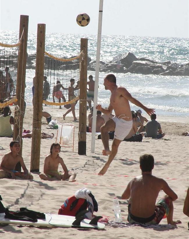 זה נקרא נגיחה, כן? (צילום: מוטי לבטון) זה נקרא נגיחה, כן?