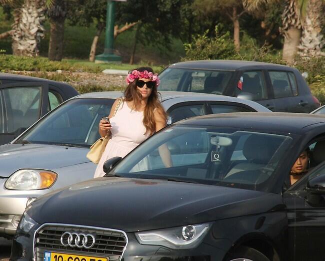 זר הסוואה, אולי לא יזהו אותי ככה