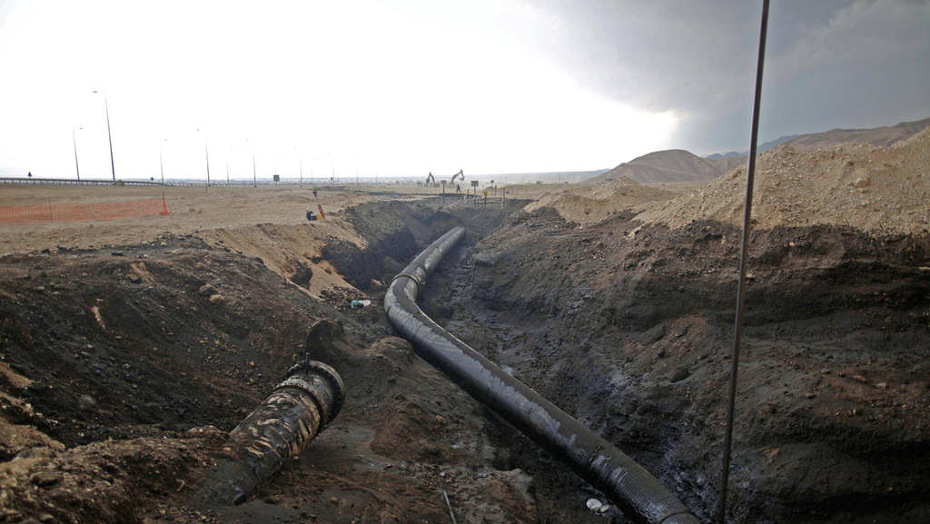 Ecological damage caused by oil spill in pipeline from Eilat to Ashkelon in 2014 