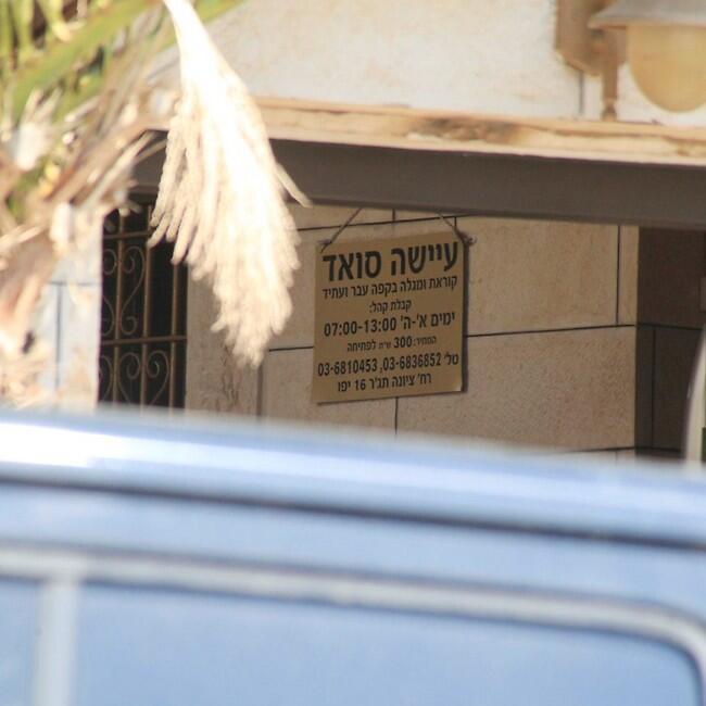 שם קליט סה"כ (צילום: מוטי לבטון) שם קליט סה"כ