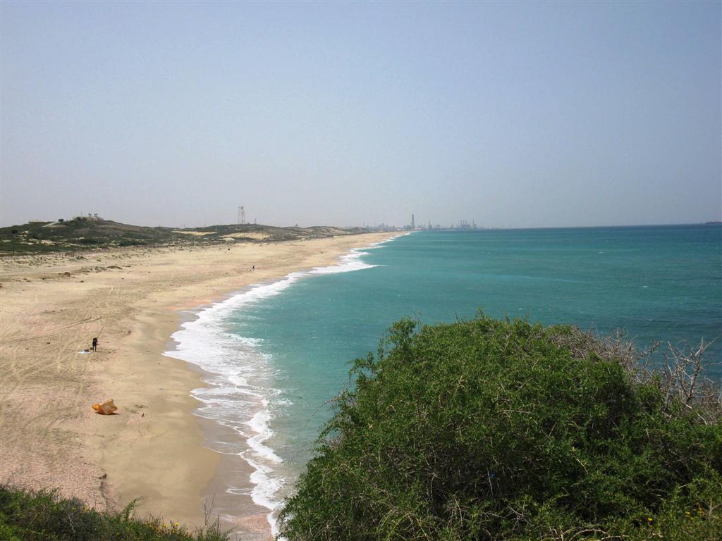 צילום: רשות הטבע והגנים