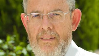 הרב פרופ' יהודה ברנדס