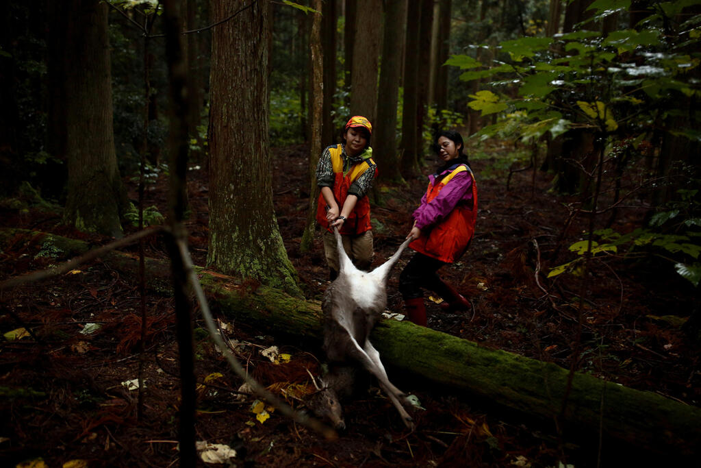Women hunting in Japan 