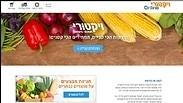 ויקטורי אונליין
