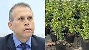 גלעד ארדן