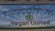 ויגן יונייטד