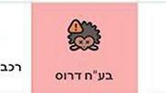 זהירות. בעל חיים דרוס