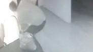 תועד מצית את ארון החשמל