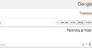 מתחדשת