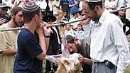מי צריך את זה?  